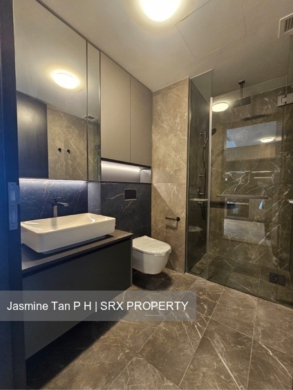 Irwell Hill Residences (D9), Apartment #515419481